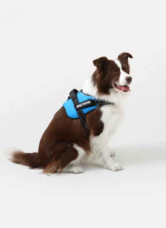Easy Walk Dog Harness with One Easy-Fit Buckle - Blue