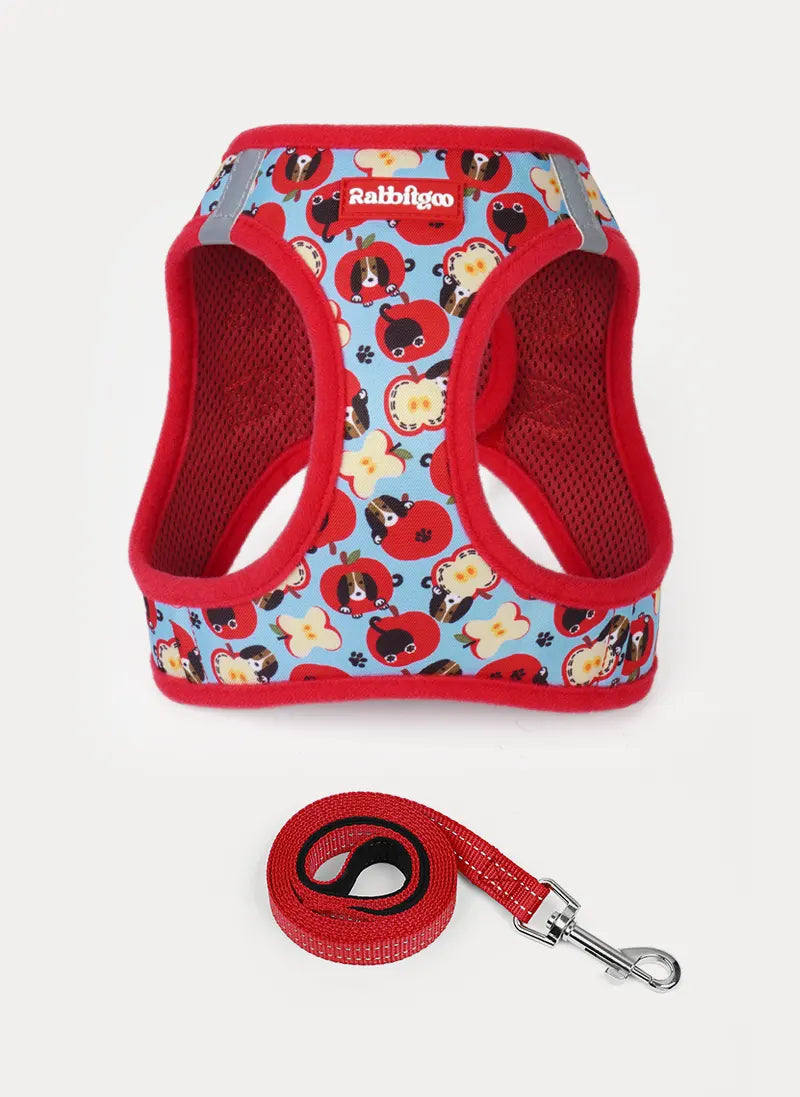 Minifit Small Dog Harness and Leash Set - Apple Pups
