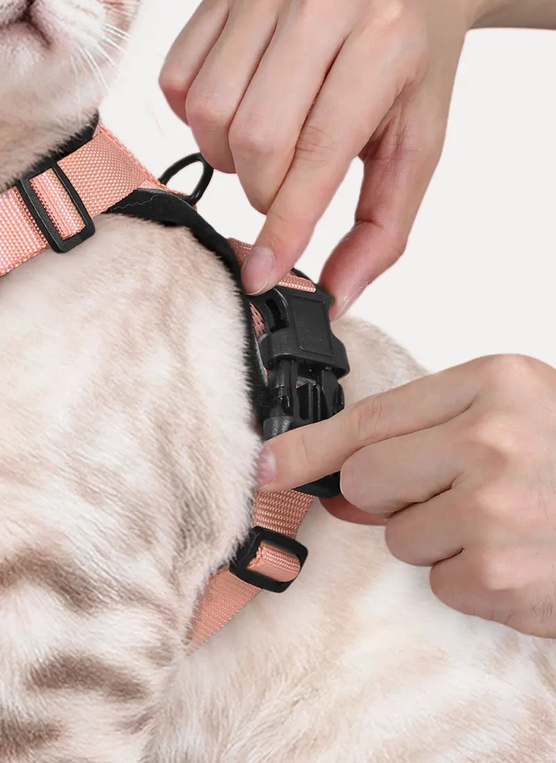 Rabbitgoo Classic Adjustable Cat Harness and Leash Set - Light Salmon Pink