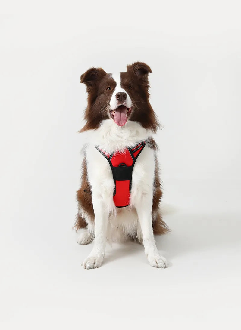 Classic Fit No Pull Dog Harness - Red