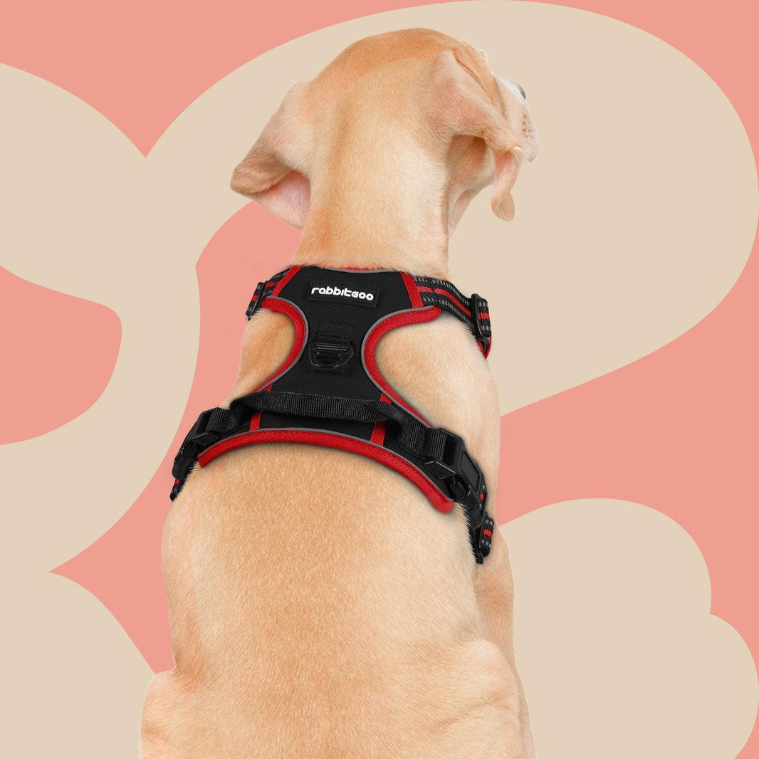 ColorPop Fit No Pull Dog Harness - Black & Red