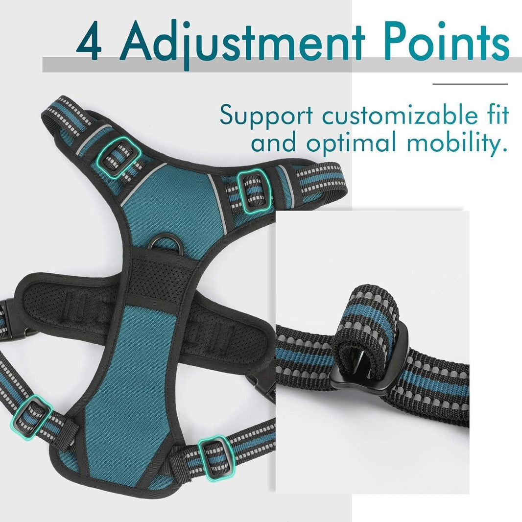 Classic Fit No Pull Dog Harness - Blue Coral