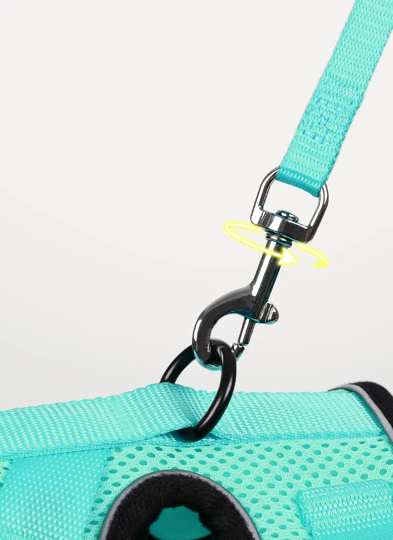 Rabbitgoo Classic Adjustable Cat Harness and Leash Set - Emerlad