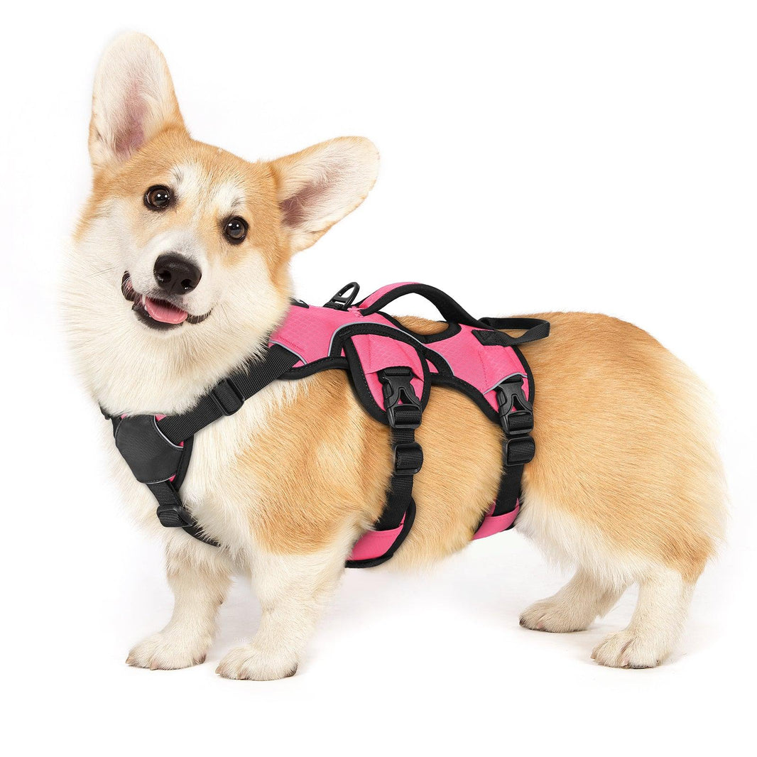 Rabbitgoo Large Dog Harness with Handle - Pink