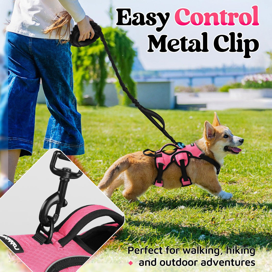 Rabbitgoo Large Dog Harness with Handle - Pink