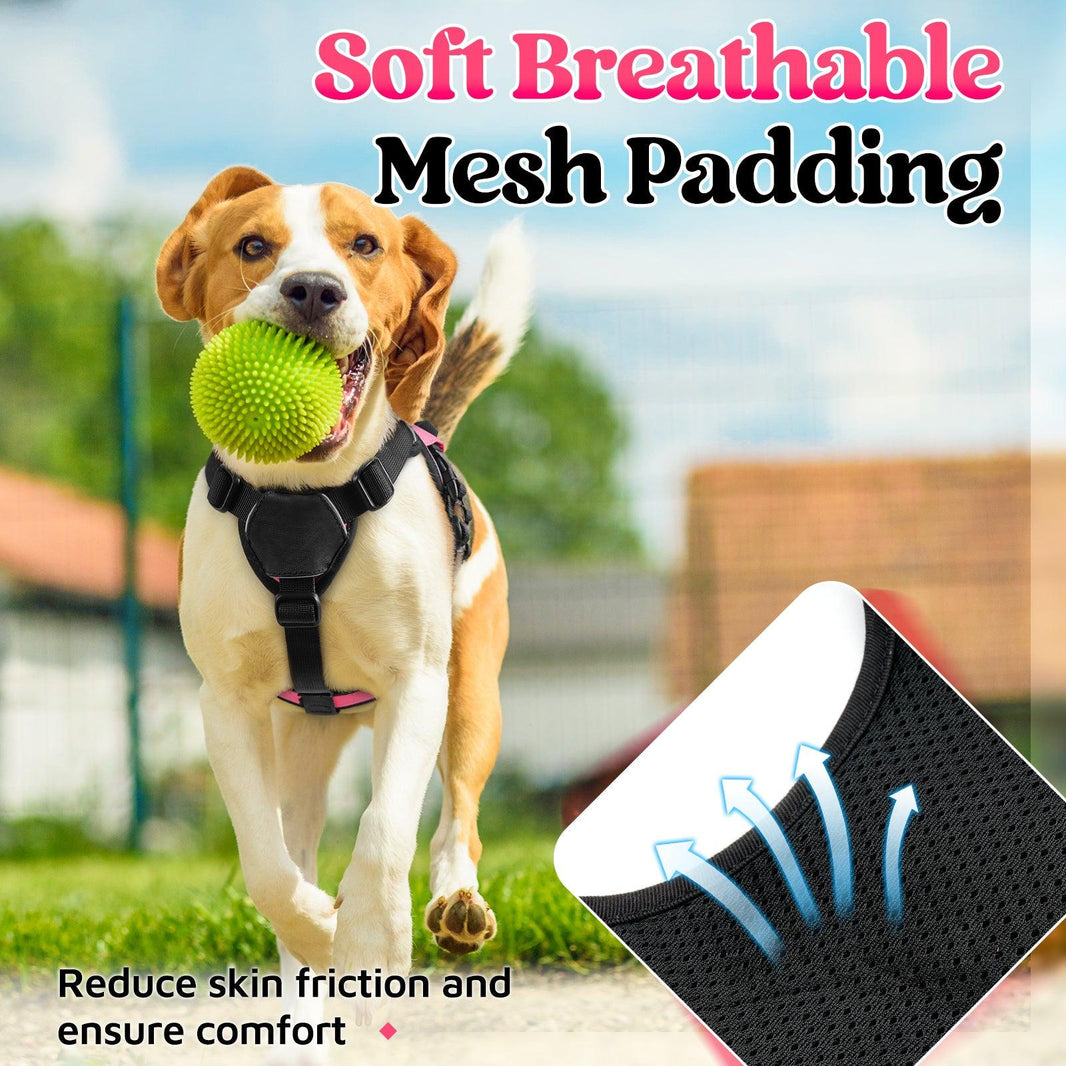 Rabbitgoo Large Dog Harness with Handle - Pink