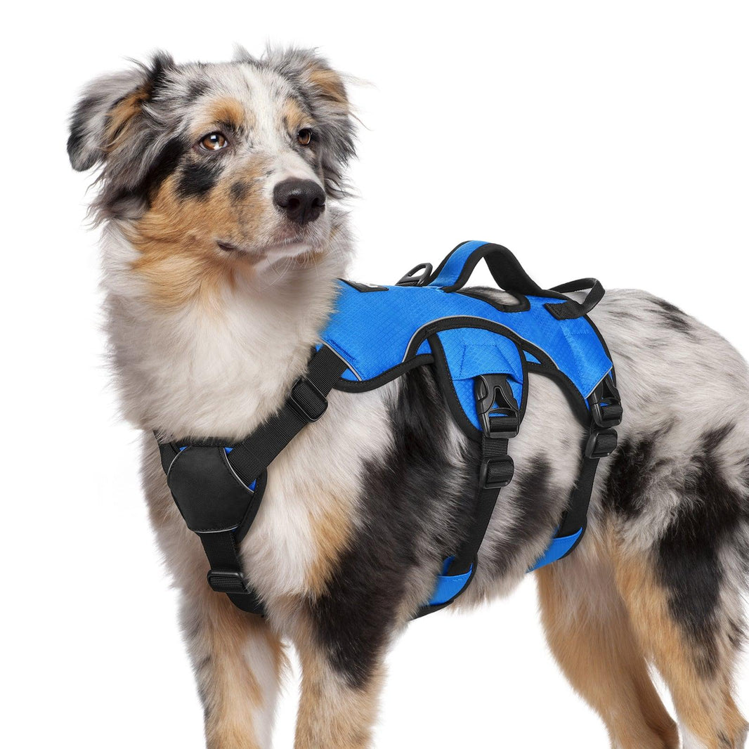 Rabbitgoo Large Dog Harness with Handle - Blue