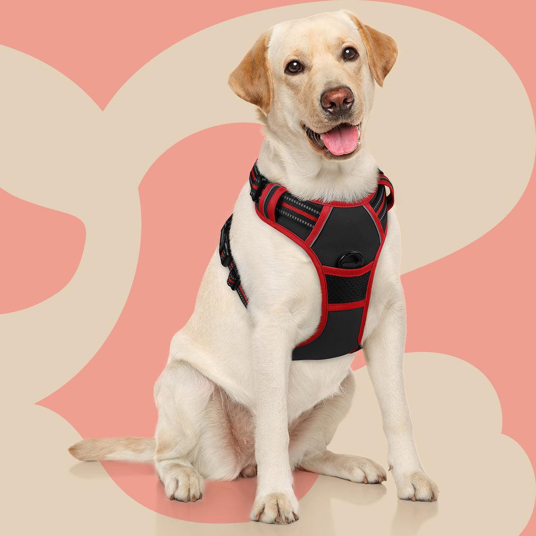 ColorPop Fit No Pull Dog Harness - Black & Red