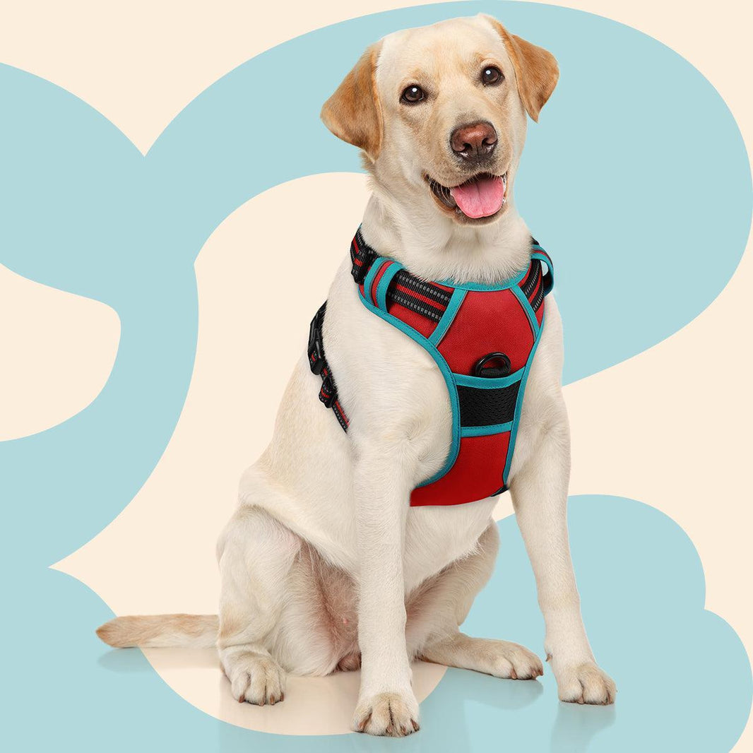 ColorPop Fit No Pull Dog Harness - Red & Teal
