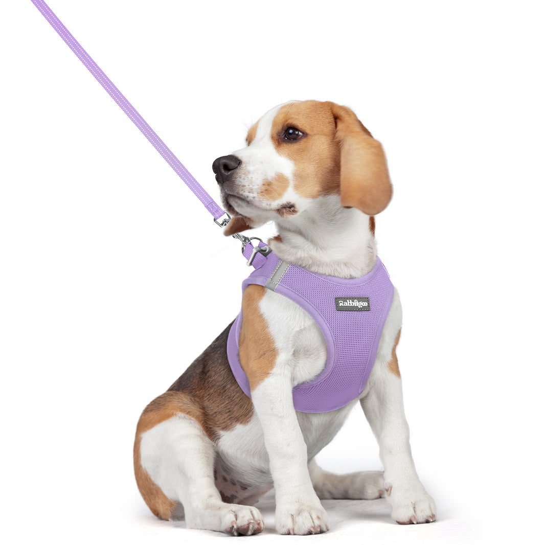 Minifit Small Dog Harness and Leash Set - Light Purple