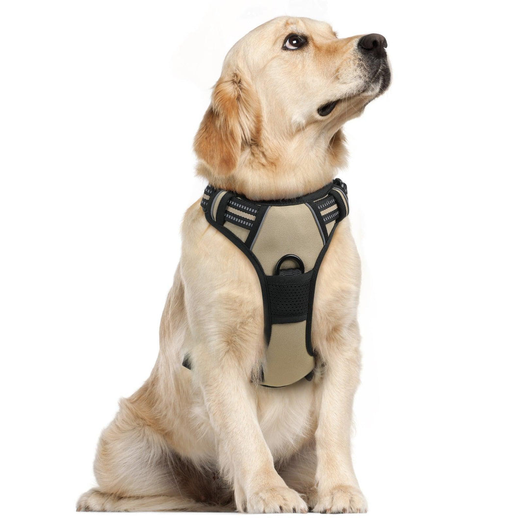 Classic Fit No Pull Dog Harness - Beige