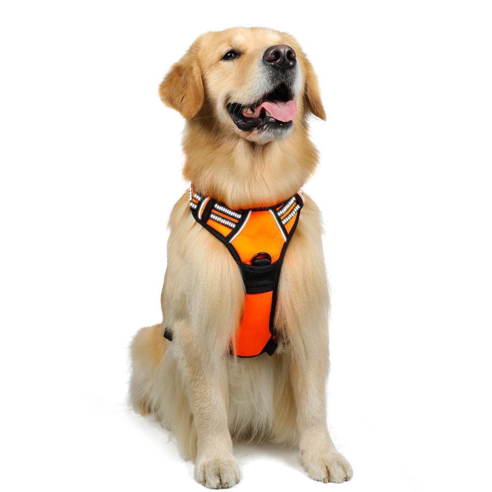 Classic Fit No Pull Dog Harness - Orange