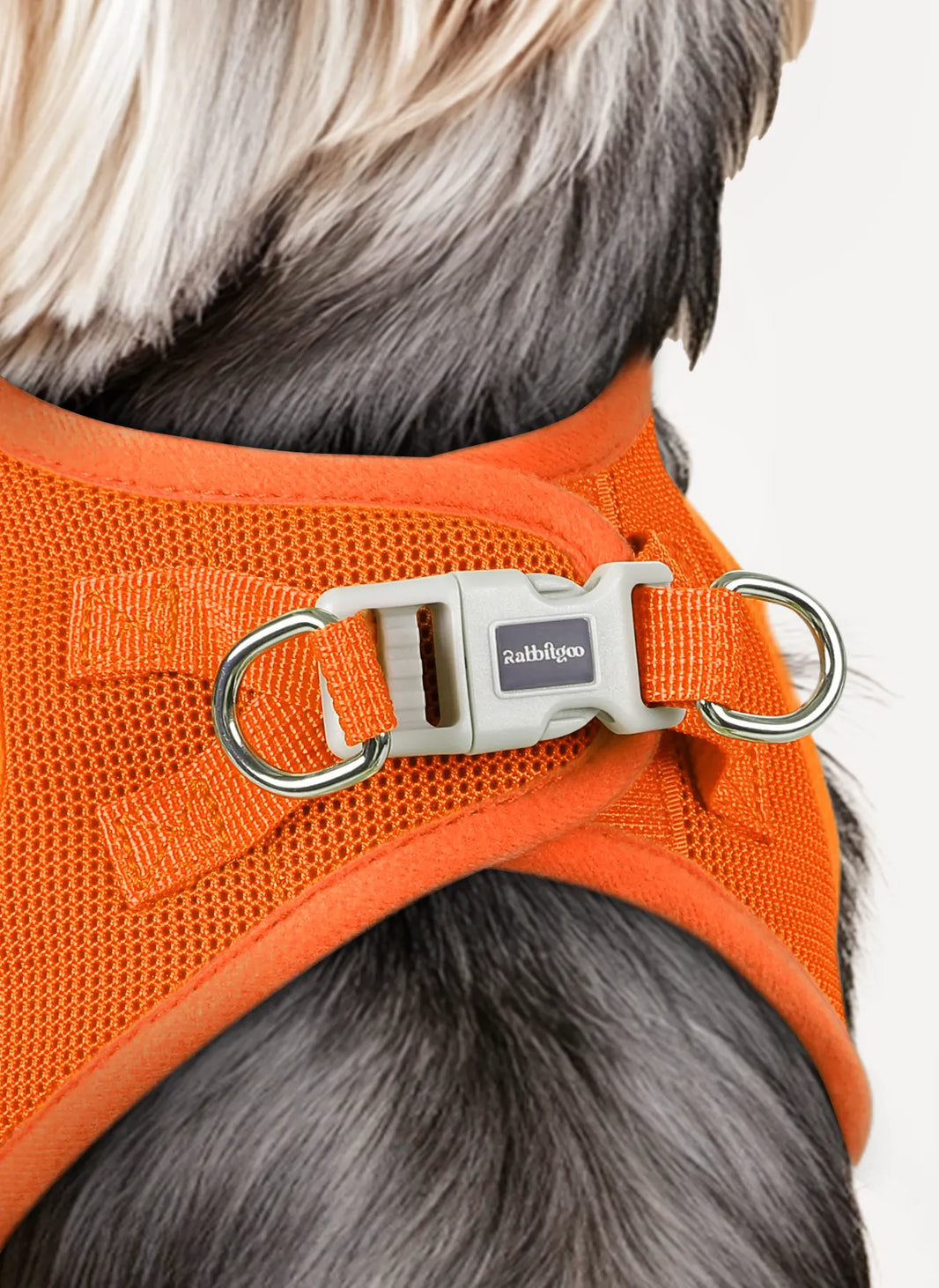 Minifit Small Step-in Dog Harness - Orange