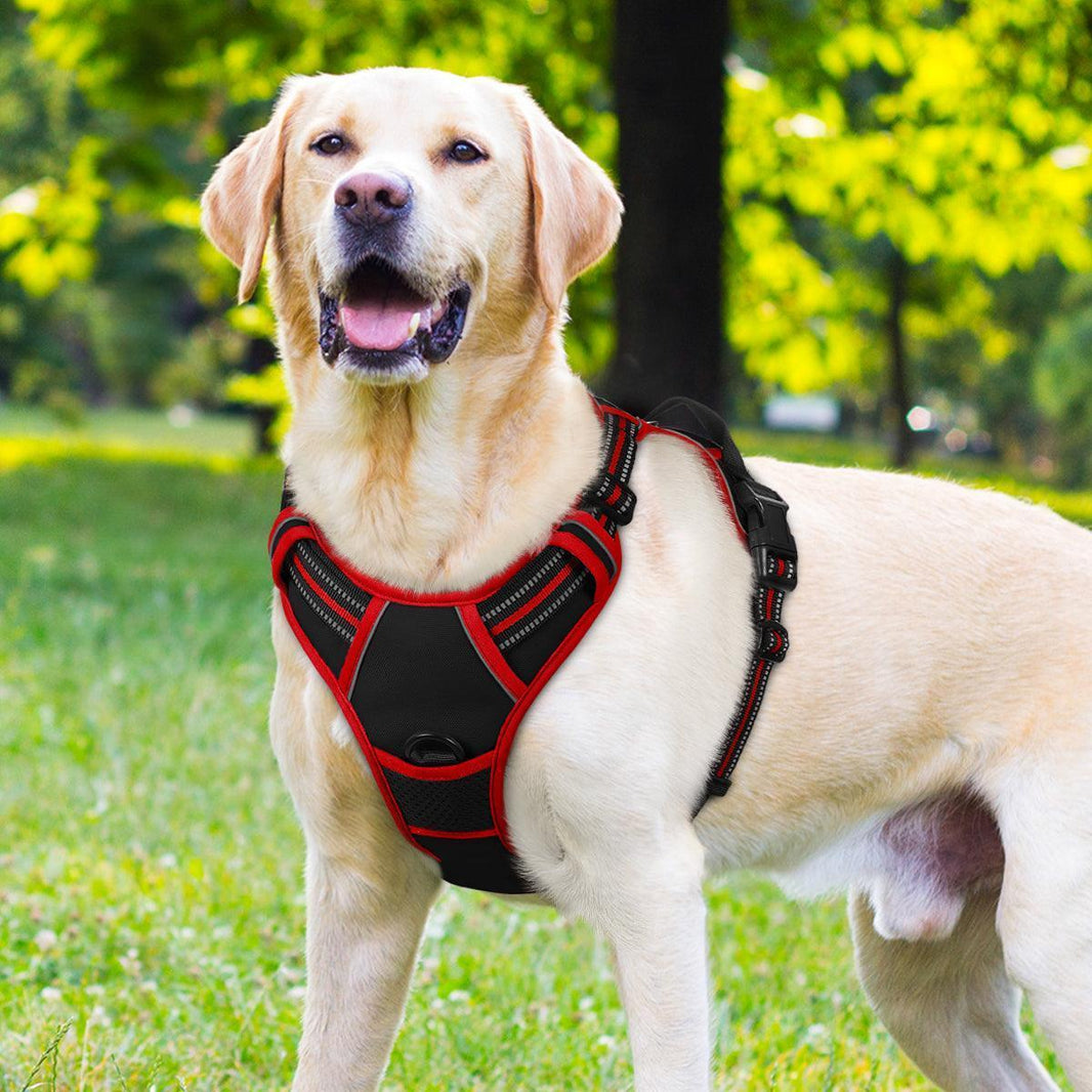 ColorPop Fit No Pull Dog Harness - Black & Red