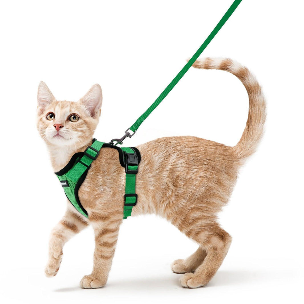 Rabbitgoo Classic Adjustable Cat Harness and Leash Set - Grass Green