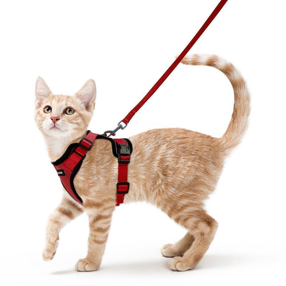 Rabbitgoo Classic Adjustable Cat Harness and Leash Set - Red