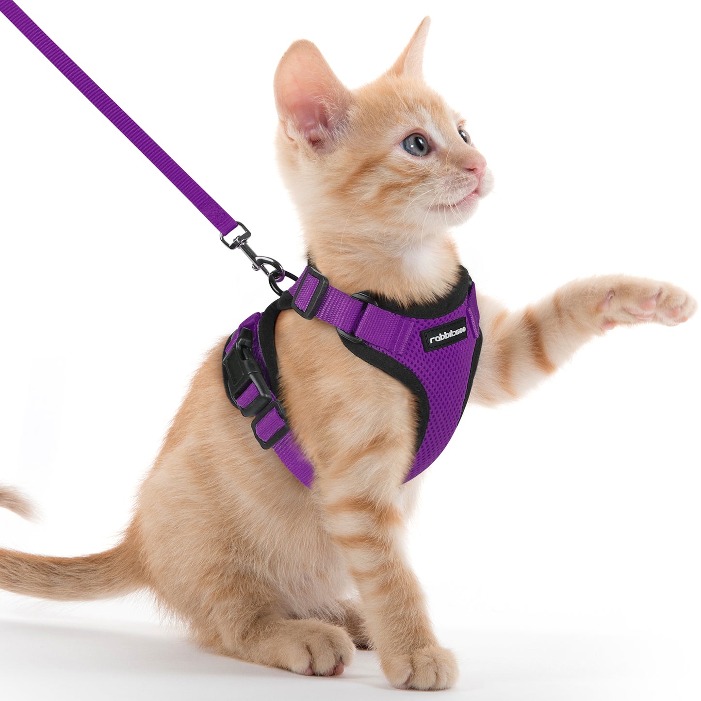 Rabbitgoo Adjustable Cat Harness and Leash Set - Pruple
