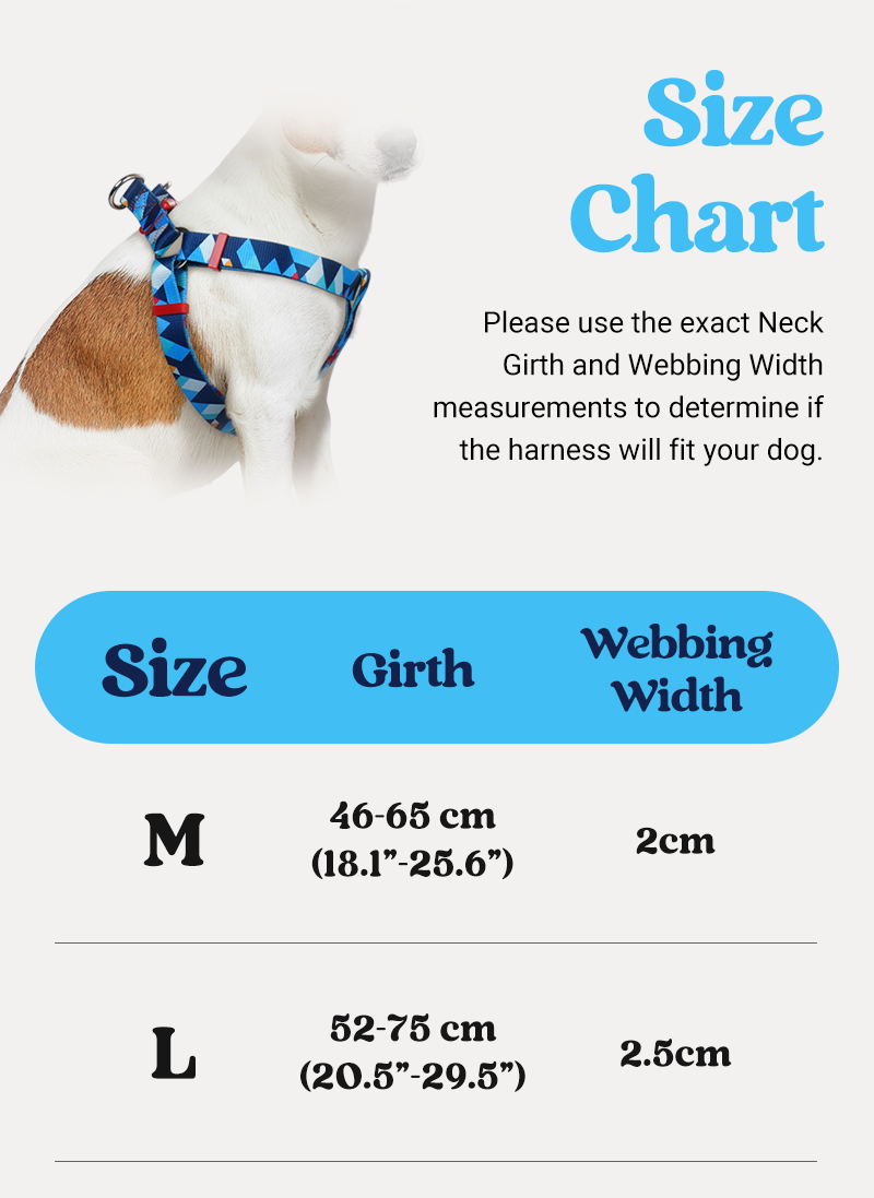 Freeline Y Series Blue Horizon Dog Harness Set