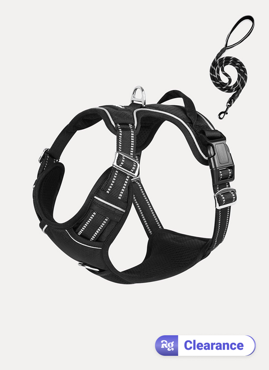 No Pull Dog Harness and Leash Set - Black / S