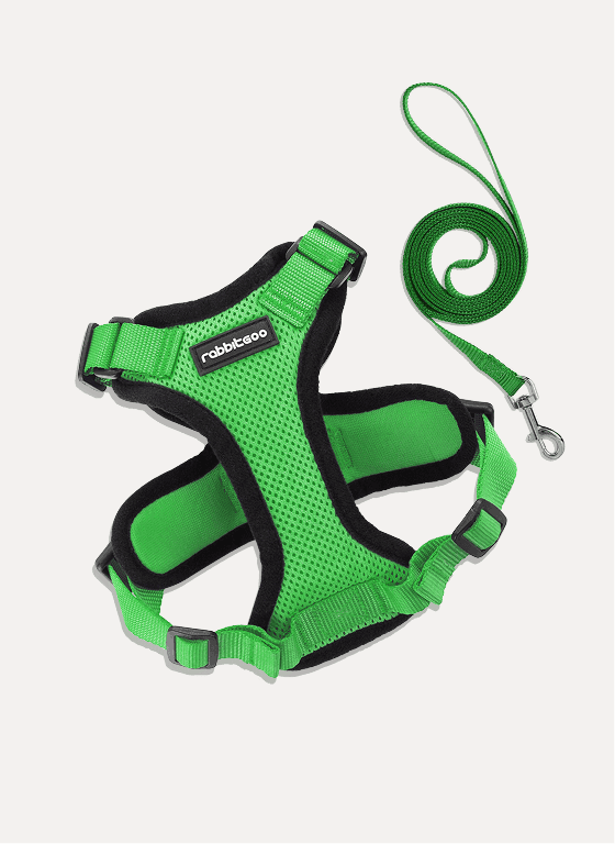Rabbitgoo Classic Adjustable Cat Harness and Leash Set - Grass Green