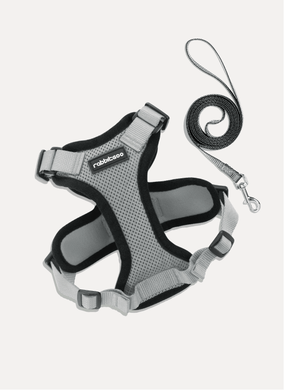 Rabbitgoo Classic Adjustable Cat Harness and Leash Set - Grey