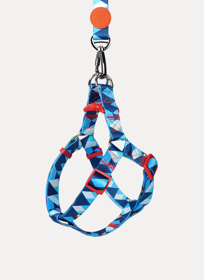 Freeline Y Series Blue Horizon Dog Harness Set