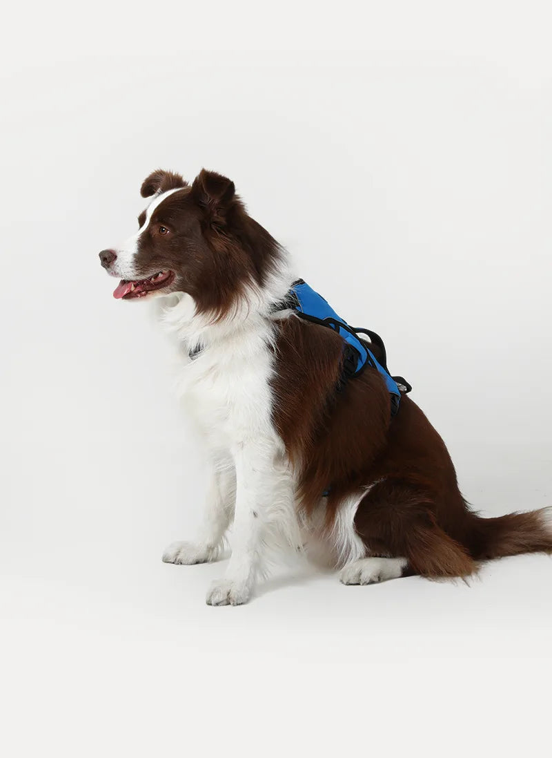 Rabbitgoo Large Dog Harness with Handle - Blue