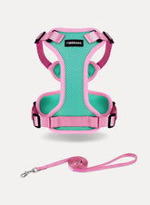 Rabbitgoo Fusion Adjustable cat harness and leash set - Green & Pink