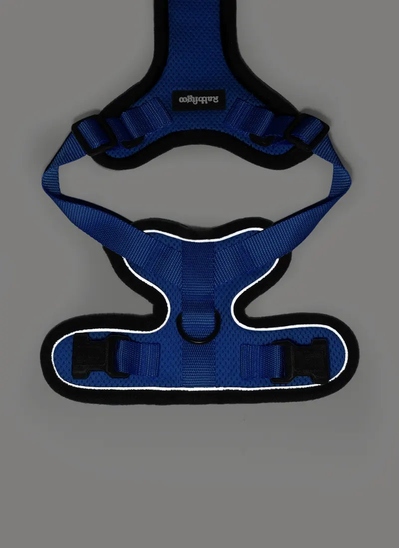 Rabbitgoo Classic Adjustable Cat Harness and Leash Set - Navy Blue