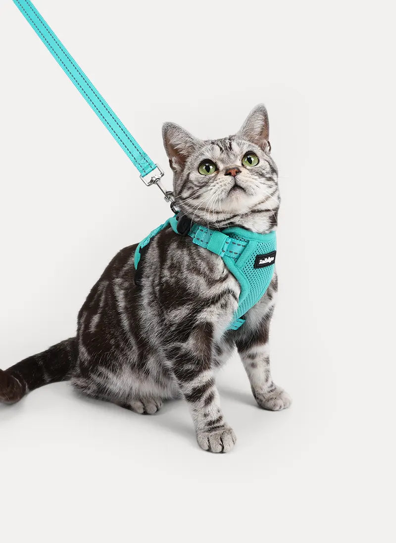 Rabbitgoo SnugFit 3-Point Cat Harness and Leash Set - Emerald