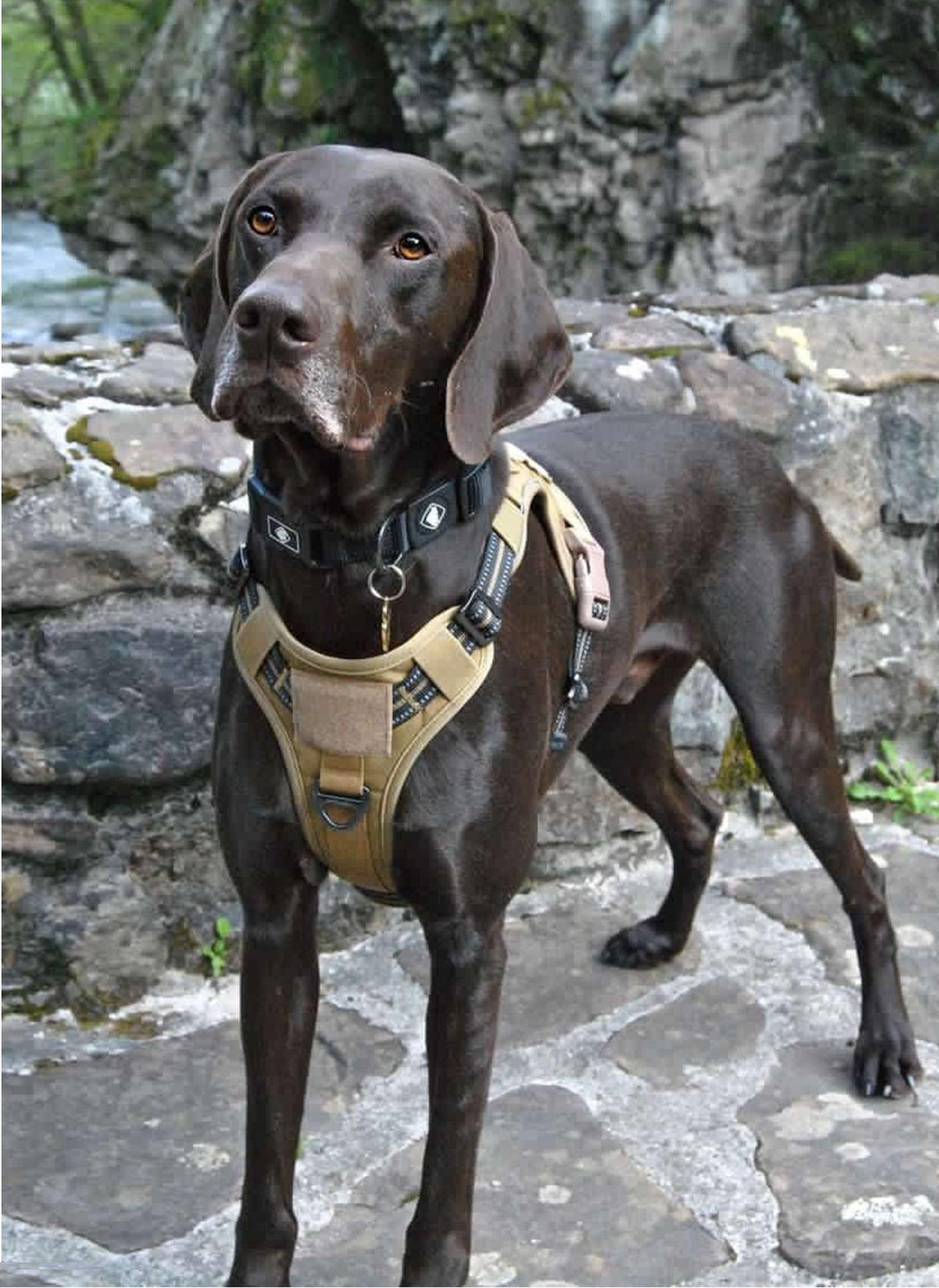 Solid Escape Proof Tactical Dog Vest Harness - Tan