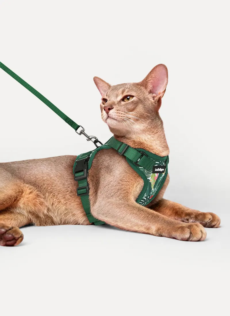 Rabbitgoo Kaleido Adjustable cat harness and leash set - Monstera Green