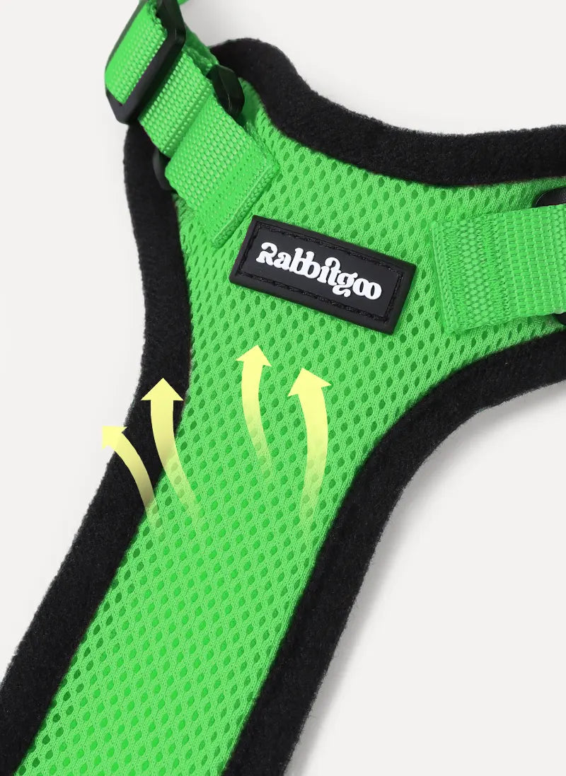 Rabbitgoo Classic Adjustable Cat Harness and Leash Set - Grass Green