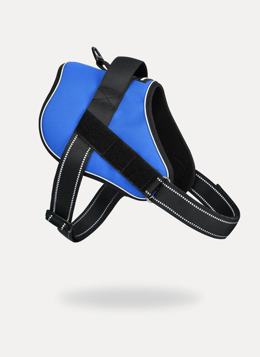 Easy Walk Dog Harness with One Easy-Fit Buckle - Blue