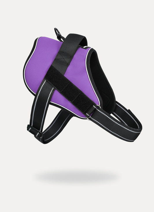 Easy Walk Dog Harness with One Easy-Fit Buckle - Purple