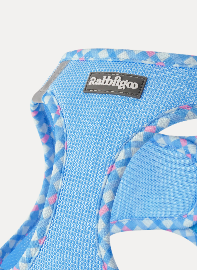 Minifit Small Dog Harness and Leash Set - Blue & Plaid Trim