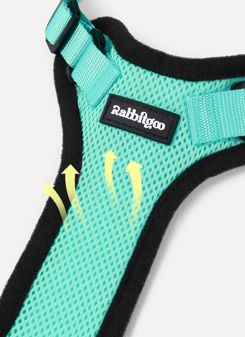 Rabbitgoo Classic Adjustable Cat Harness and Leash Set - Emerlad