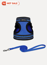 Rabbitgoo Escape Proof Cat Harness and Leash Set - Blue