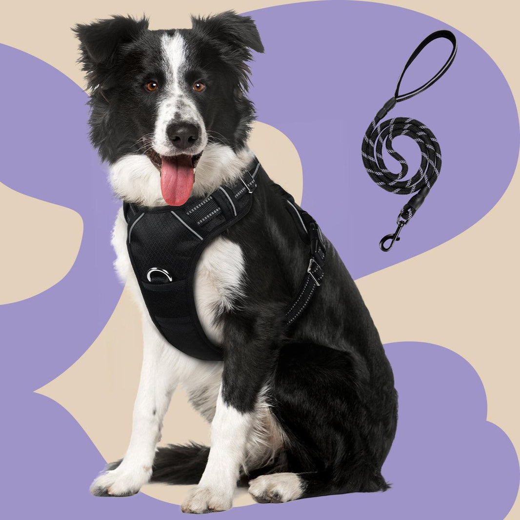No Pull Dog Harness and Leash Set - Black / S