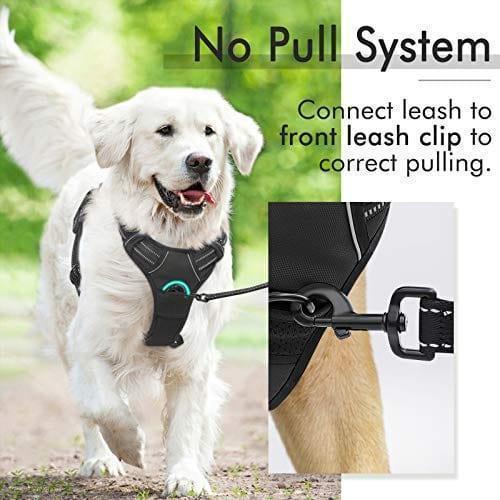 Classic Fit No Pull Dog Harness - Black