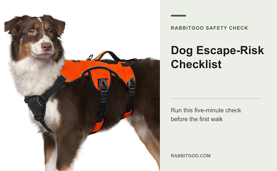 Dog Escape-Risk Checklist Before the First Walk