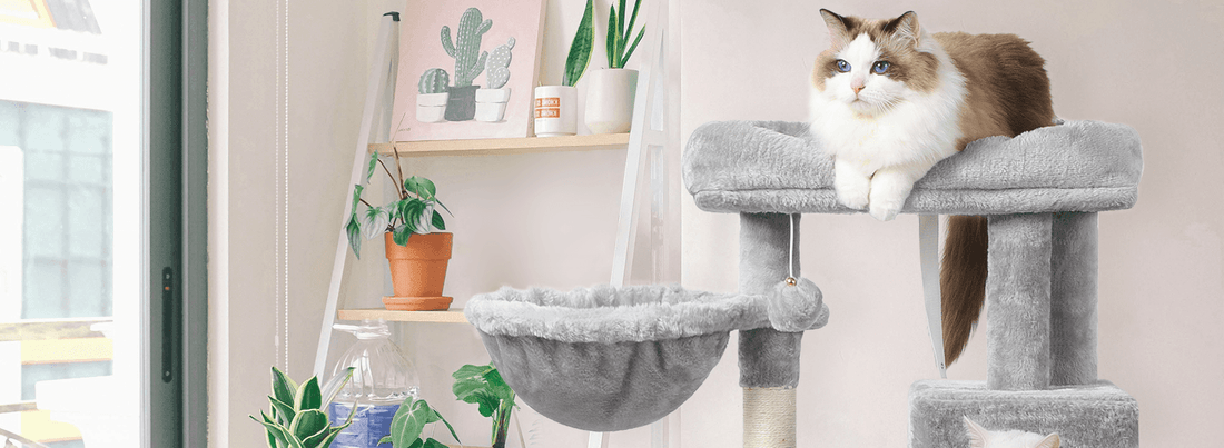A cat lie on one big cat tree
