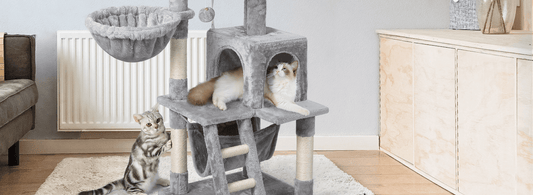The Ultimate Guide: Buying a Cat Jungle Gym - Rabbitgoo