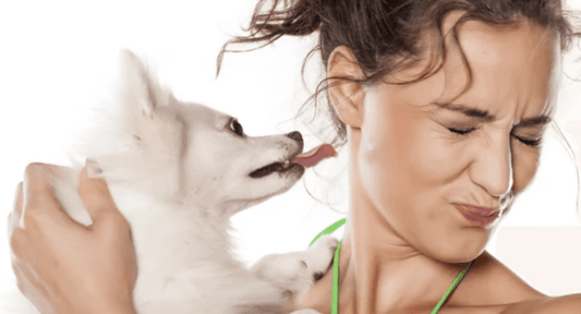 How Do You Get Rid Of Dog Bad Breath?