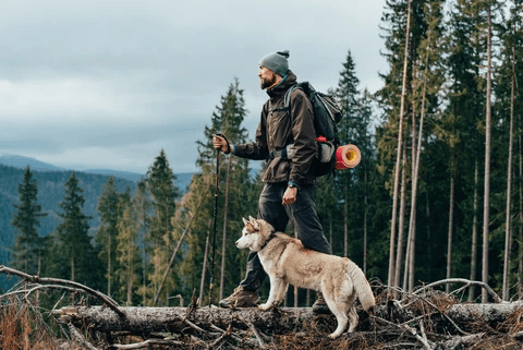 5 Tips for Hiking with Dogs