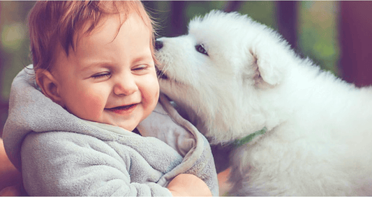 Whether the Dog Is Good or Bad for  Baby