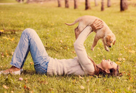 Pet Would Much More Look Like Their Owner