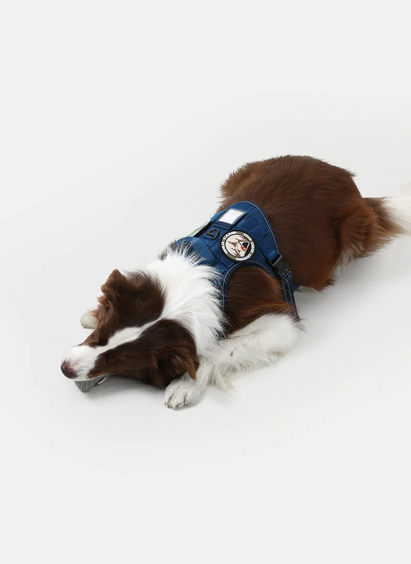 Solid Escape Proof Tactical Dog Vest Harness