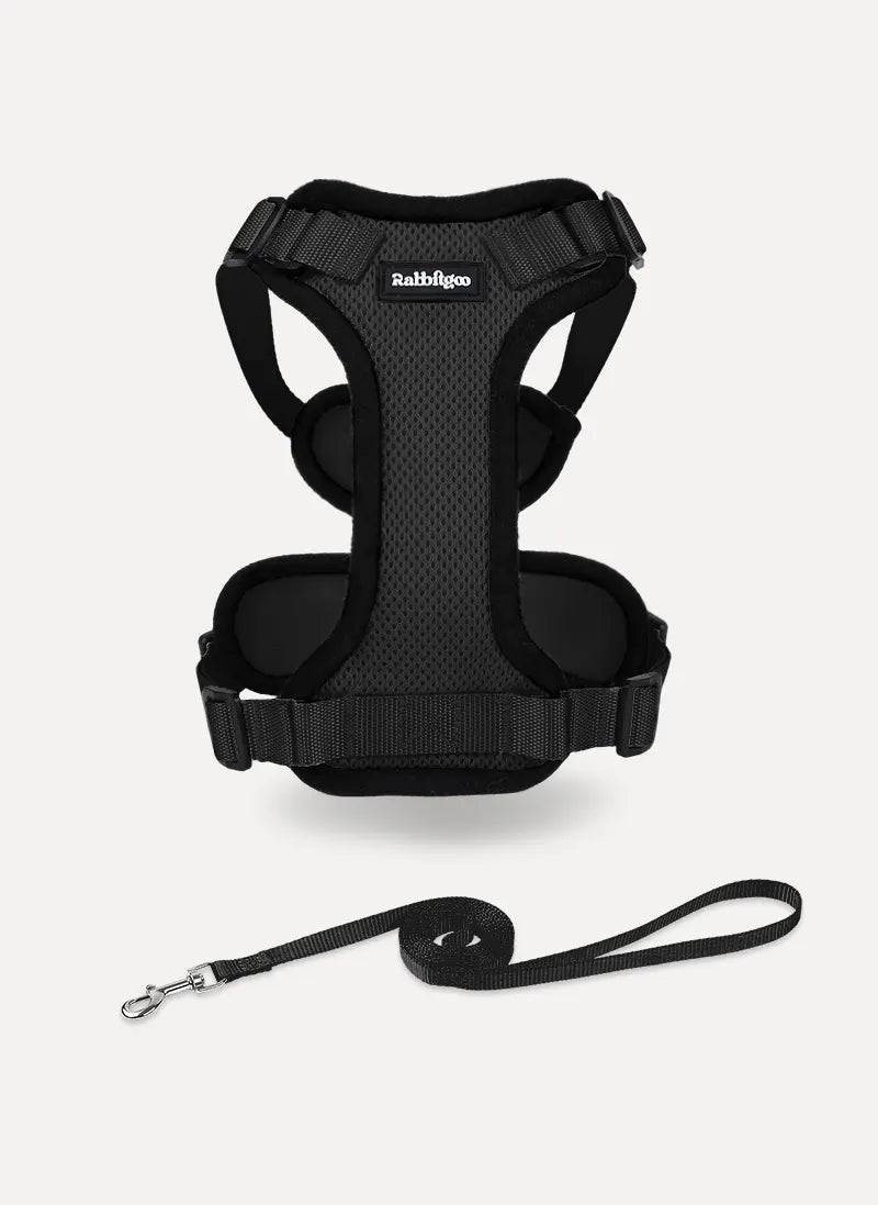 Rabbitgoo Classic Adjustable Cat Harness and Leash Set - Black