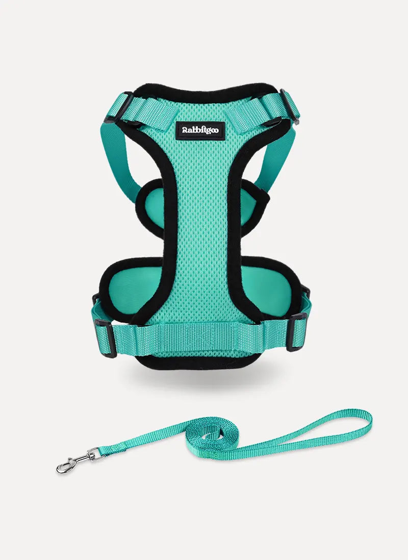 Rabbitgoo Classic Adjustable Cat Harness and Leash Set - Emerlad